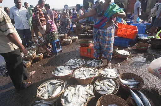 Fresh seafood displayed near Fort Kochi